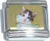 CT1125 Cat Picture Italian Charm
