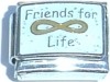 Friends for Life