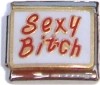 CT9749 Sexy Bitch Italian Charm