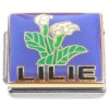 CT7237 Lilly White Flower on Purple Italian Charm