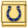 CT7930 Blue Horseshoe Cowboy Gold Italian Charm