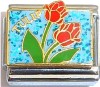 Tulip Plant Italian Charm