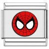 TV1042 Spidey Face Web Value Italian Charm