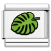 TV1057 House Plant Monstera Leaf Value Italian Charm