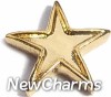 H1250 Gold Star Floating Locket Charm