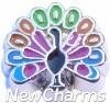 H9502 Peacock Floating Locket Charm