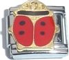 Ladybug
