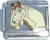 Horse Head in White