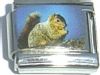 Picture of a Squirrel  Italian Charm