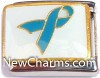 CT3092TEAL Teal Ribbon Italian Charm