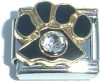 Paw with White Stone