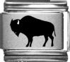 Buffalo