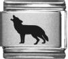 Coyote