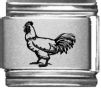 Rooster