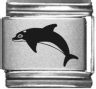 Dolphin
