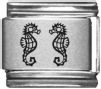 Seahorses