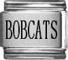 Bobcats
