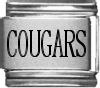Cougars