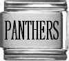 Panthers