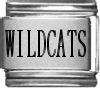 Wildcats