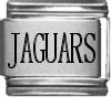 Jaguars