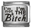I'm not a Bitch I'm THE Bitch