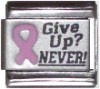 Give Up? Never!
