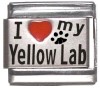 I Love my Yellow Lab