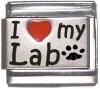I Love my Lab