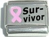Survivor