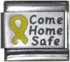 Come Home Safe