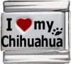 I Love My Chihuahua