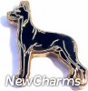 H1453 Great Dane In Black Floating Locket Charm