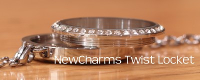 TS11  Twist Stainless Steel Silver Big Round CZ Loose Floating Locket
