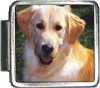 A10018 Golden Retriever Italian Charm