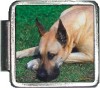 A10022 Great Dane Italian Charm