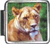 A10024 Lion Italian Charm
