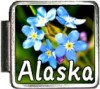 Alaska Flag Italian Charm
