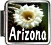 Arizona Flag Italian Charm