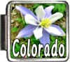 Colorado Flag Italian Charm