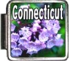 Connecticut Flag Italian Charm